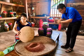 Tuổi trẻ Đak Pơ hỗ trợ người dân quảng bá đặc sản địa phương trên chợ số