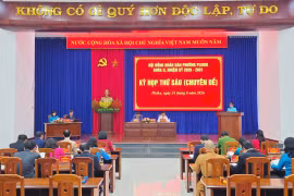 HĐND phường Pleiku tổ chức kỳ họp thứ 6, thông qua 2 nghị quyết quan trọng