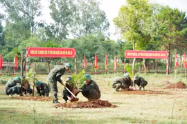 Gia Lai: Phát động “Tết trồng cây đời đời nhớ ơn Bác Hồ” năm 2026.