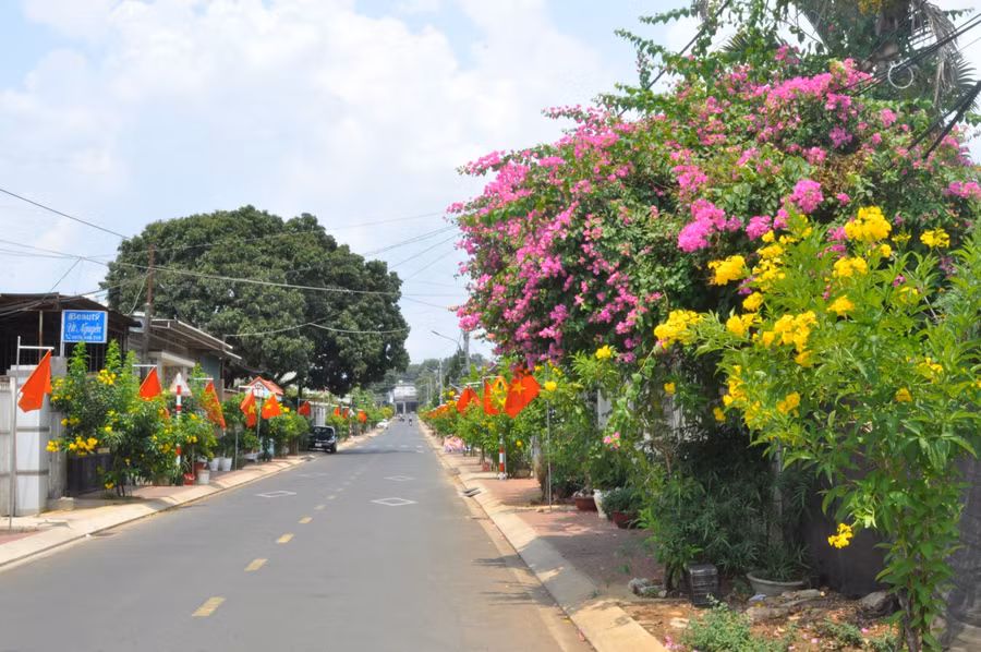 Hoa Huỳnh Liên (vàng) đang nở rộ, khiến tuyến đường Kim Đồng (phường Đống Đa) thêm phần rực rỡ. Ảnh: R'Ô HOK