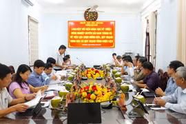 Hoài Nhơn định hướng phát triển vùng trồng dừa và cây dược liệu.