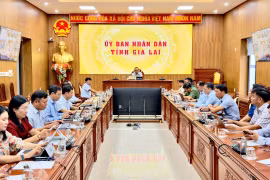 Gia Lai khẩn trương thực hiện “5 không” trong chống khai thác IUU