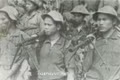 Ý nghĩa chiến thắng Chư Bồ