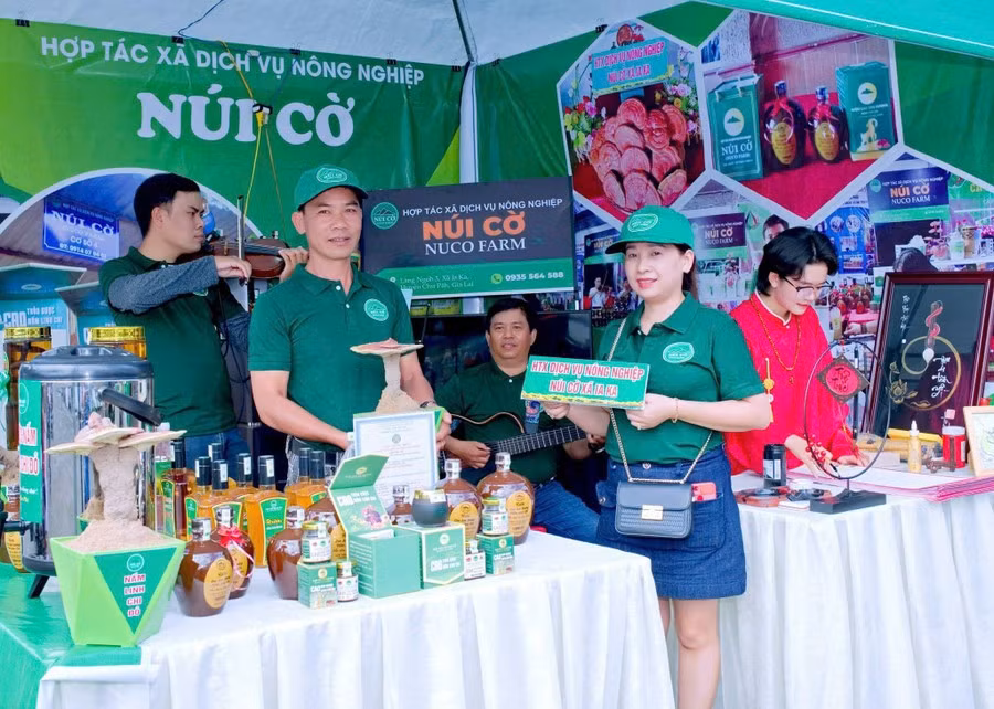 hop-tac-xa-dich-vu-nong-nghiep-nui-co-xa-ia-ka-huyen-chu-pah-hoat-dong-hieu-qua-voi-3-san-pham-che-bien-tu-nam-linh-chi-do-duoc-chung-nhan-ocop-3-sao-anh-do-nhan-vat-cung-cap.jpg
