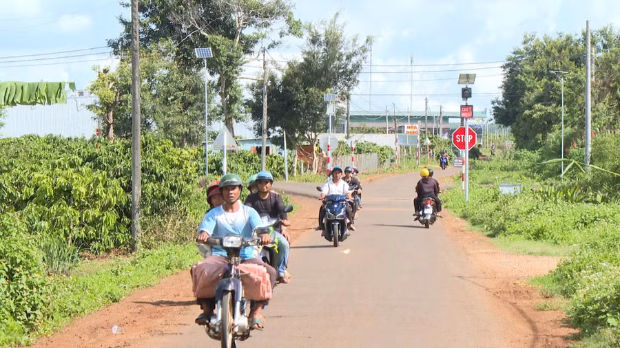 duong-dan-sinh-dau-noi-ra-tuyen-tranh-quoc-lo-19-duoc-lap-dat-he-thong-den-tin-hieu-giao-thong.jpg