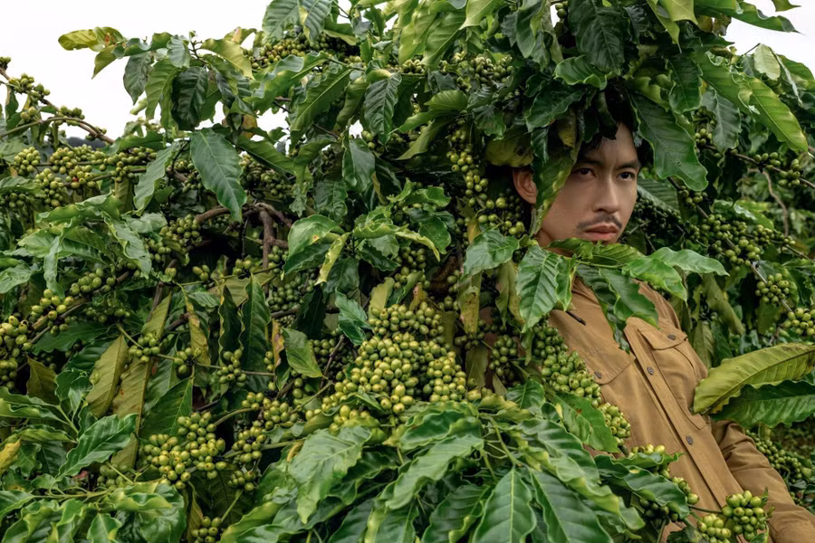 Qua những khung hình cùng câu chuyện giàu cảm xúc, Đen mong muốn âm nhạc trở thành nhịp cầu kết nối khán giả với những vùng đất bình dị của Việt Nam. Ảnh: NVCC