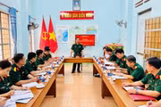 Khảo sát công tác quân sự, quốc phòng và xây dựng Đảng tại Chi bộ Quân sự phường Pleiku