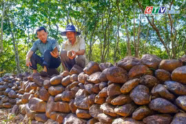60s Gia Lai: Độc đáo lũy đá cổ Phú Hà