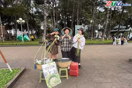 Hương mùa thu Hà Nội giữa lòng phố núi