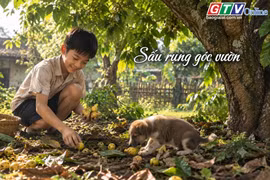 Ngăn ký ức: Sấu rụng góc vườn