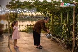 Ngăn ký ức: Giàn mướp của nội