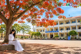Ngăn ký ức: Nhớ thương mùa phượng vĩ
