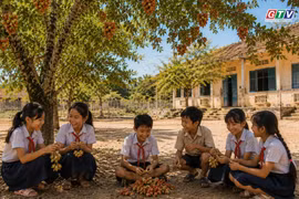 Ngăn ký ức: Me keo thương nhớ