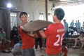 Rộn ràng tiếng pháo đất 