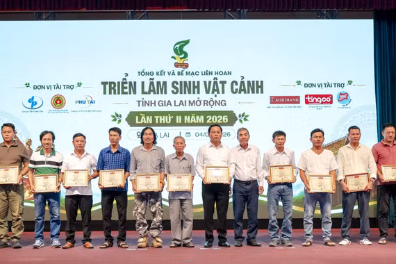 gia-lai-be-mac-lien-hoan-sinh-vat-canh-mo-rong-lan-thu-hai