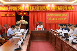 Thành lập Bộ phận Thường trực để tiếp nhận, hướng dẫn, giải đáp các nội dung về sắp xếp tổ chức bộ máy và đại hội đảng bộ các cấp
