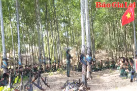 Giai điệu thao trường 