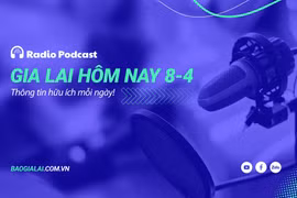 Gia Lai hôm nay 8-4: Thành lập Hội đồng thẩm định Báo cáo nghiên cứu tiền khả thi cao tốc Quy Nhơn-Pleiku