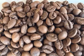 Giá cà phê ngày 6-7 tiếp tục tăng gần 1.000 đồng/kg