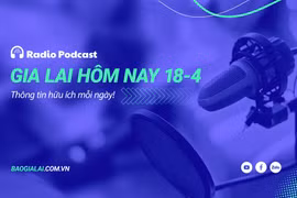 Gia Lai hôm nay 18-4: Quyết liệt các giải pháp phòng cháy, chữa cháy rừng