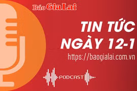 Tin tức ngày 12-1: Tư vấn hướng nghiệp-tuyển sinh cho hơn 3.000 học sinh THPT ở TP. Pleiku 