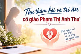 Chủ tịch UBND tỉnh Phạm Anh Tuấn gửi thư thăm hỏi và tri ân cô giáo Phạm Thị Anh Thư
