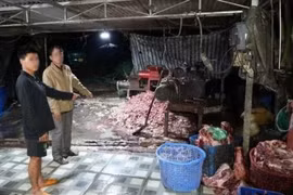 400 tấn heo bệnh, heo chết ra thị trường: Lỗ hổng nào trong kiểm soát thực phẩm?
