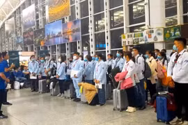 Hơn nửa lao động phải vay tiền trước khi ra nước ngoài làm việc: Khoản nào tốn nhất?