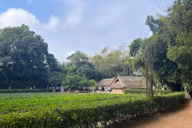 Chạm vào bình yên nơi quê Bác