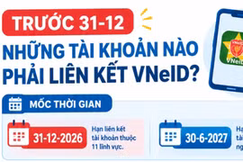 Trước 31-12, những tài khoản kinh doanh và chứng khoán nào phải liên kết VNeID?