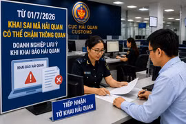 Từ ngày 1-7, khai sai mã hải quan: Doanh nghiệp có thể chậm thông quan