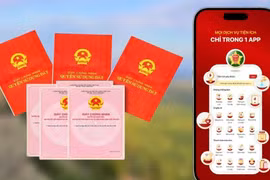 Cảnh giác với chiêu lừa “định danh đất đai” và cập nhật sổ đỏ trên VNeID