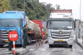 Tạm ngưng hiệu lực của Nghị định số 46 về an toàn thực phẩm