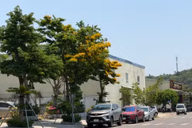 Thời tiết Gia Lai ngày 14-5: Phía Đông nắng nóng, phía Tây đề phòng mưa giông