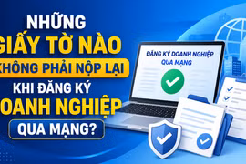 Những giấy tờ nào không phải nộp lại khi đăng ký doanh nghiệp qua mạng?