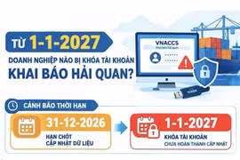 Từ 1-1-2027, doanh nghiệp nào bị khóa tài khoản khai báo hải quan?