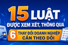 15 luật được xem xét, thông qua: 6 thay đổi doanh nghiệp cần theo dõi
