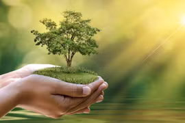 Từ 1-11, dự án thế nào mới được công nhận là “dự án xanh”?