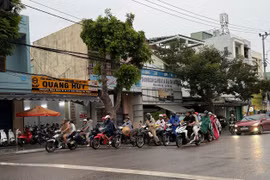 Tháng 10-2026, phía Đông Gia Lai có thể xuất hiện 1-2 đợt mưa lớn