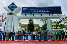 Thành lập Trường Tiểu học, THCS và THPT Thực hành sư phạm Gia Lai
