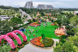 Lễ hội hoa FLC Quy Nhơn 2026: Có gì đáng xem?