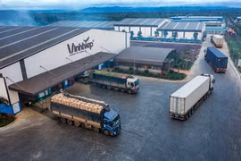 Vĩnh Hiệp dẫn đầu về xuất khẩu cà phê nhân xanh của Việt Nam niên vụ 2025-2026
