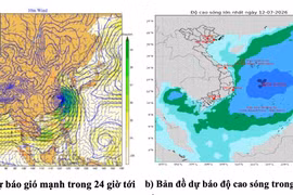 Vùng biển Gia Lai có khả năng xảy ra lốc xoáy, sóng cao 2-3 m