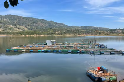 Gia Lai dự kiến dành 120 tỷ đồng hỗ trợ nuôi trồng thủy sản công nghệ cao