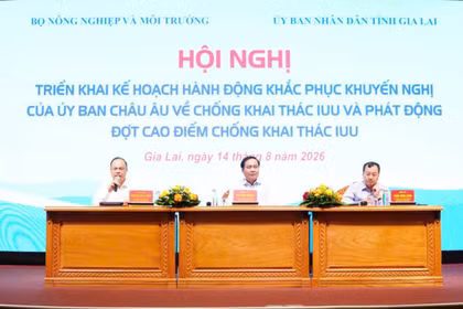 Tập trung các giải pháp khắc phục khuyến nghị của EC
