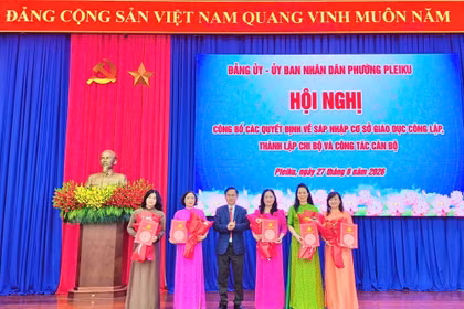 Phường Pleiku giảm 6 đầu mối trường học sau sáp nhập