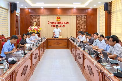 Phó Chủ tịch UBND tỉnh Lâm Hải Giang chủ trì cuộc họp về sắp xếp các cơ sở giáo dục