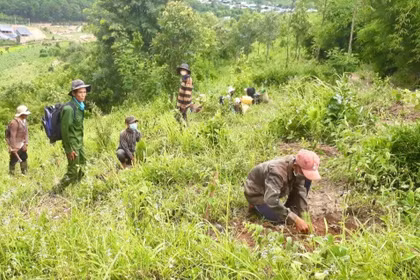 RECAF tạo động lực thúc đẩy tăng trưởng xanh ở Gia Lai
