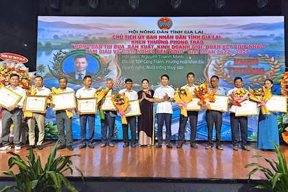 Gia Lai có 75.088 hộ sản xuất, kinh doanh giỏi