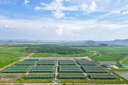 THACO AGRI bị phạt 92,5 triệu đồng do vi phạm quy định về thời hạn công bố thông tin